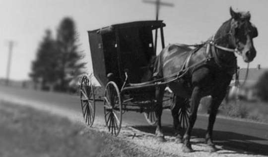 15 Ways You Can Own '70s Dresses 15 Ways You Can Own '70s Dresses