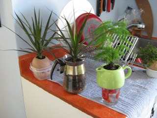 34 Tips to Thrift Store Shop Like a Pro! (Pass On to Newbies!) 34 Tips to Thrift Store Shop Like a Pro! (Pass On to Newbies!)