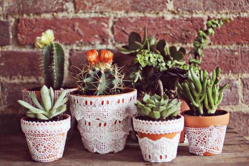6 Creative DIY Ways To Display Houseplants 6 Creative DIY Ways To Display Houseplants