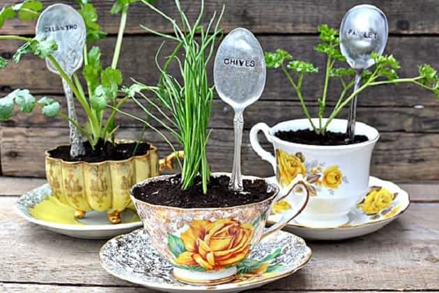 6 Creative DIY Ways To Display Houseplants 6 Creative DIY Ways To Display Houseplants