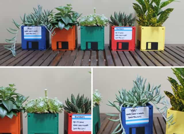 6 Creative DIY Ways To Display Houseplants 6 Creative DIY Ways To Display Houseplants