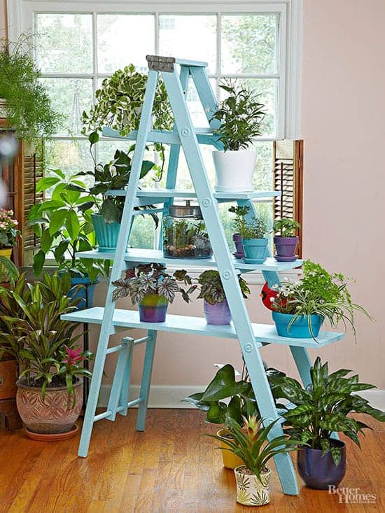 6 Creative DIY Ways To Display Houseplants 6 Creative DIY Ways To Display Houseplants
