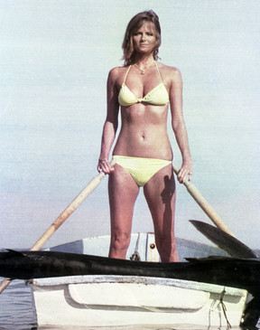 cheryl-tiegs-vintage-7 cheryl tiegs