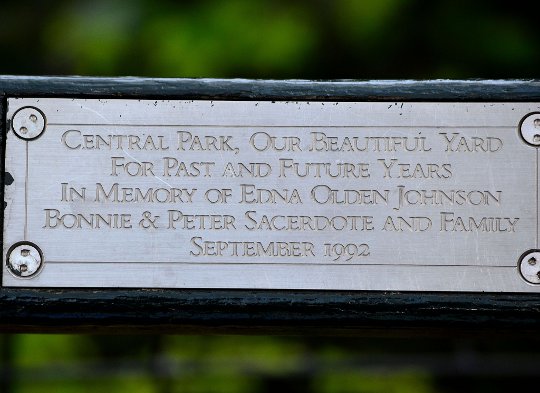 central park plaque a plaque on a central park bench