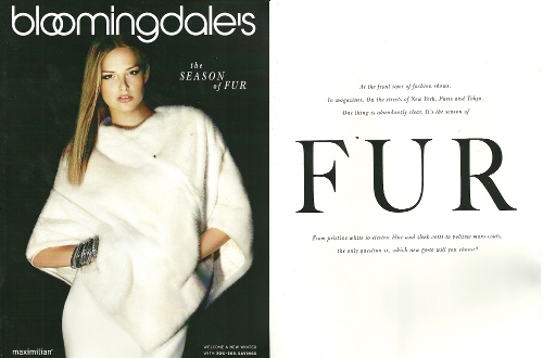 How to Identify Vintage Mink, Fox, Rabbit, Beaver & Raccoon Furs How to Identify Vintage Mink, Fox, Rabbit, Beaver & Raccoon Furs