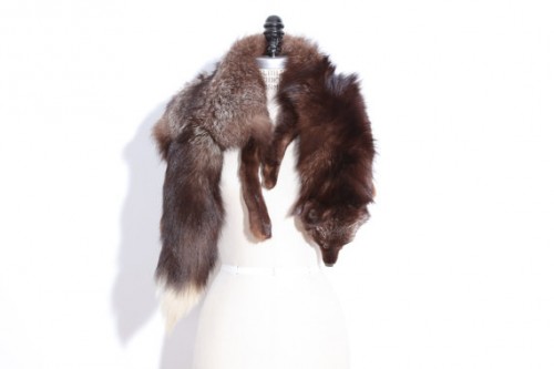 How to Identify Vintage Mink, Fox, Rabbit, Beaver & Raccoon Furs How to Identify Vintage Mink, Fox, Rabbit, Beaver & Raccoon Furs