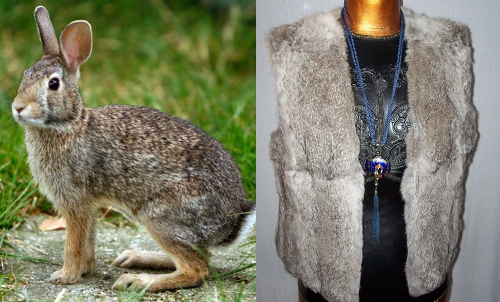How to Identify Vintage Mink, Fox, Rabbit, Beaver & Raccoon Furs How to Identify Vintage Mink, Fox, Rabbit, Beaver & Raccoon Furs