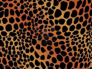 The Fur Debate: How to be Sustainable & Recycle Vintage Fur for Good Causes The Fur Debate: How to be Sustainable & Recycle Vintage Fur for Good Causes