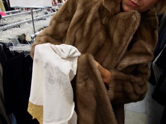 thrift store shopping check fur thrift store shopping check fur