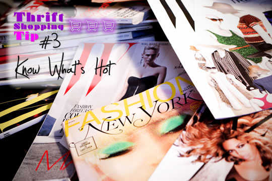 Magazines Thrifting like a pro- thrif the trends