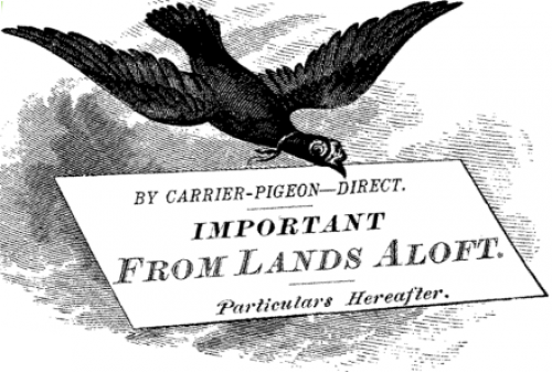 34 Tips to Thrift Store Shop Like a Pro! (Pass On to Newbies!) 34 Tips to Thrift Store Shop Like a Pro! (Pass On to Newbies!)