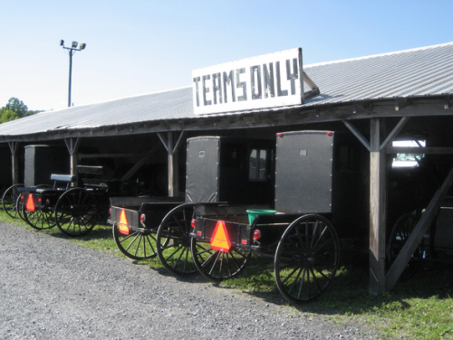 green dragon horse and buggies green dragon horse and buggies